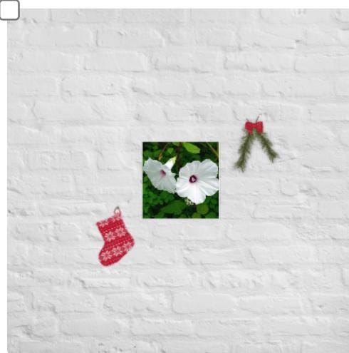 White Morning Glory Botanical Print • Minimalist Floral Wall Art