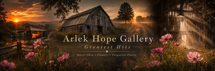 Arlek Hope Online Gallery Greatest Hits