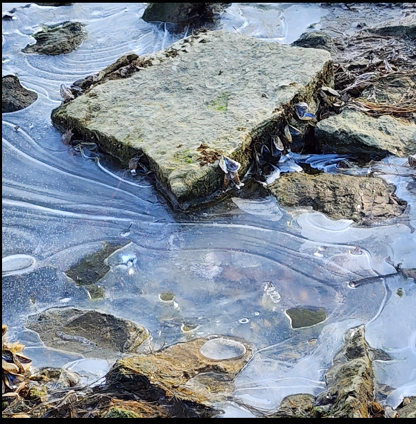 Arlek Hope – Frozen Shoreline