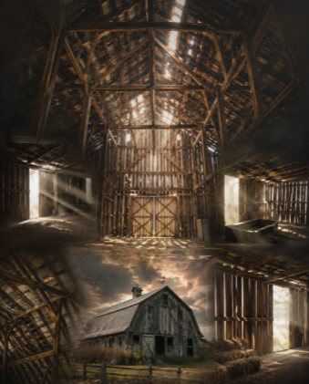 Timber Cathedral