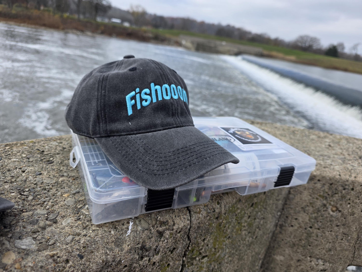 Fishooon Dad Hat
