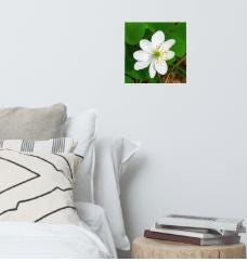 Wall Art Print | BabyBull