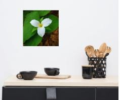 Wall Art Print | BabyBull