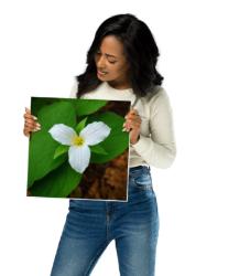 White Trillium Botanical Print, Minimalist Woodland Flower Art