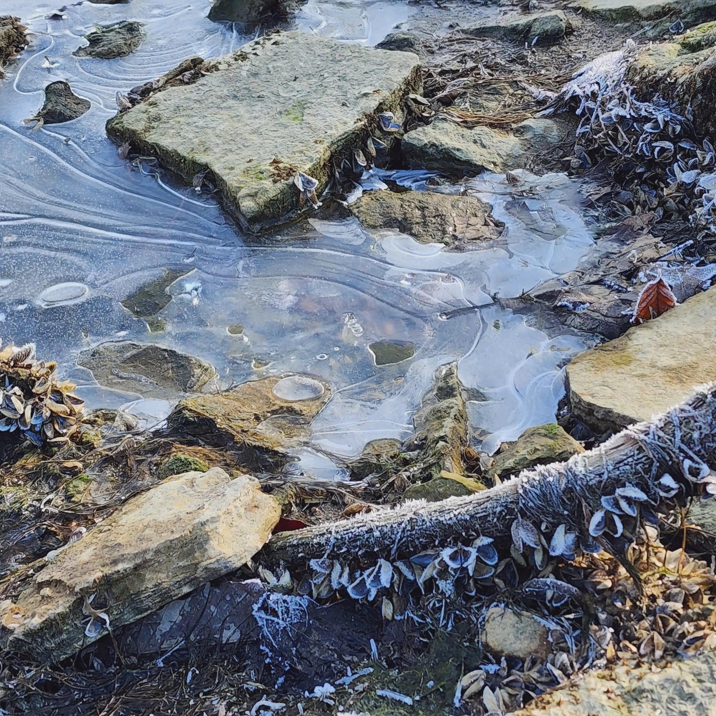 Winter Shoreline Abstract No.10 — Frozen Ice Swirls & Frosted Stones | Blue Minimalist Nature Wall Art | Winter Photography Digital Download