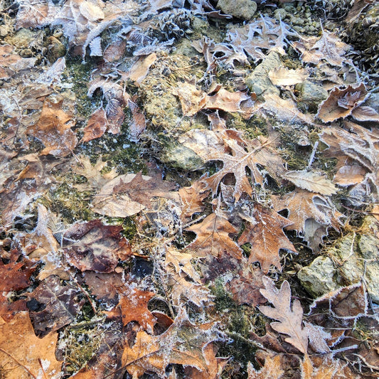 Winter Shoreline Abstract No.5 — Frosted Stone & Ice Layers | Blue Minimalist Nature Wall Art | Winter Photography Digital Download